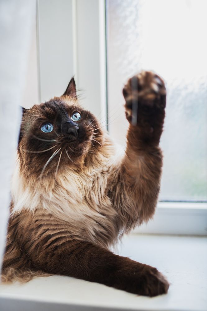 Photograph by Анна Фурса