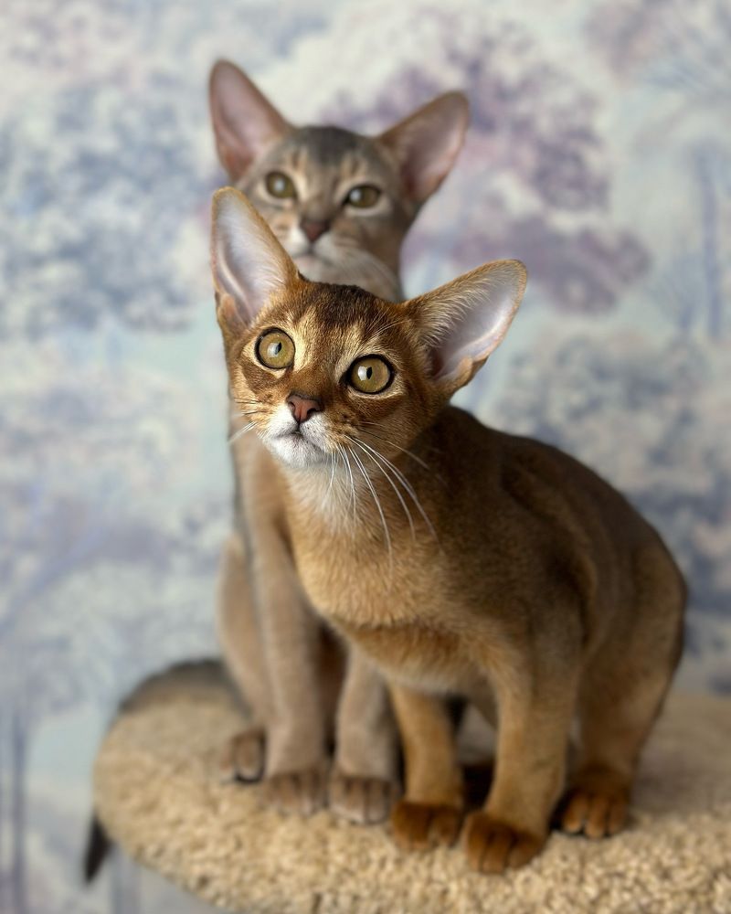 Photograph by Polina Manderson