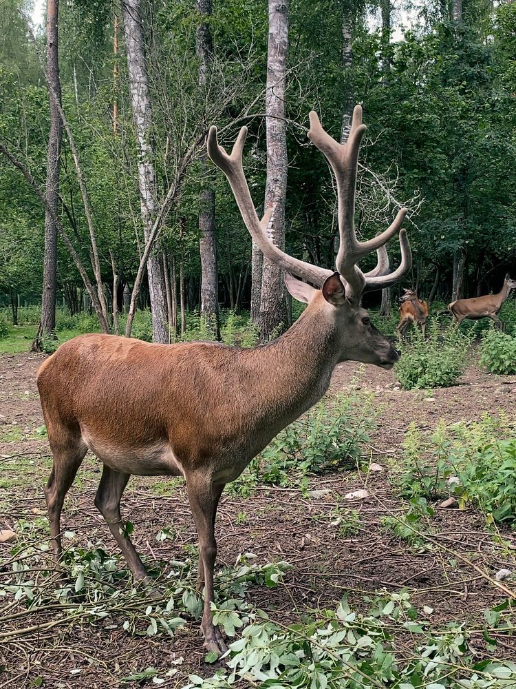 Фотография автора Лариса Гришкевич