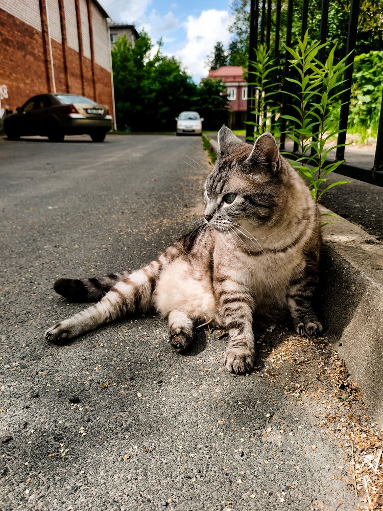 Photograph by Анна Сойтту