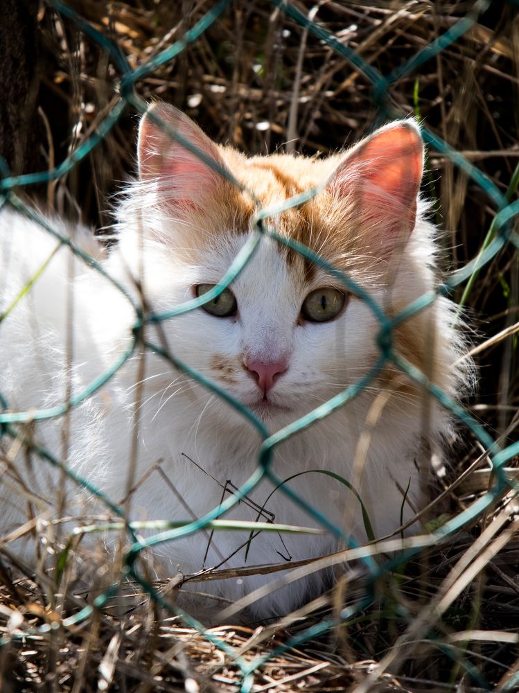 Photograph by Анна Сойтту