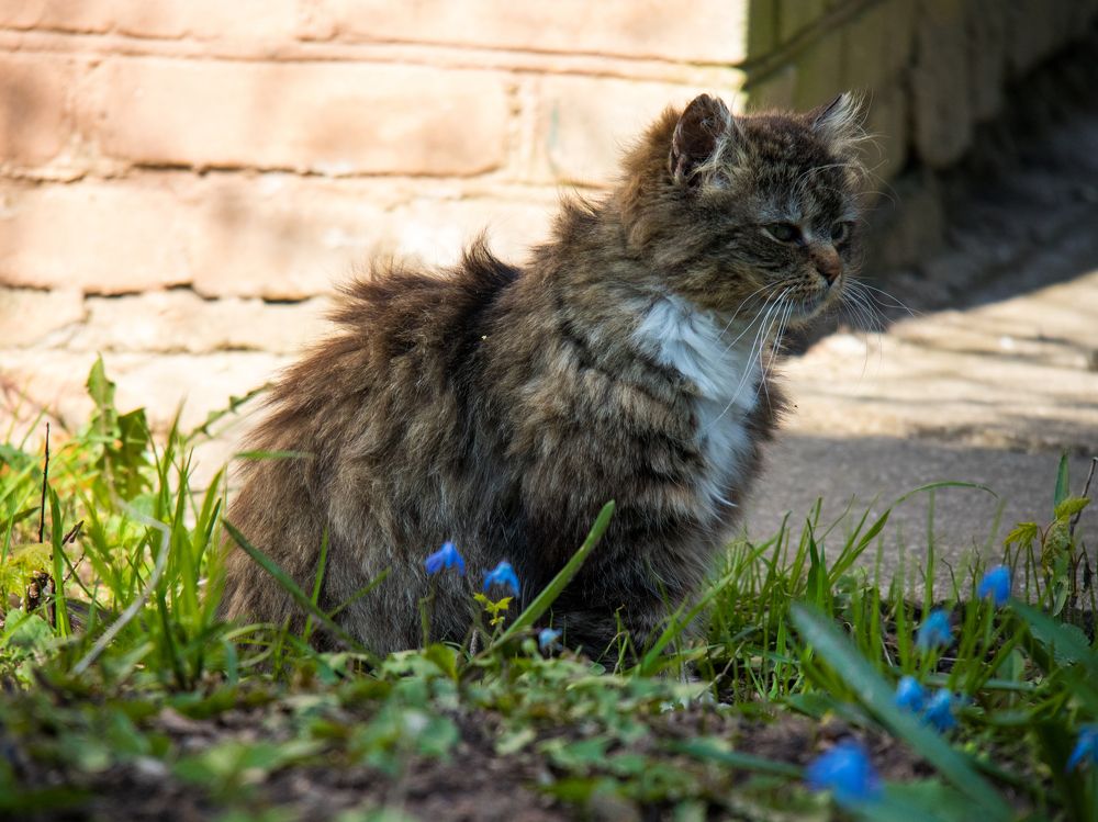 Photograph by Анна Сойтту