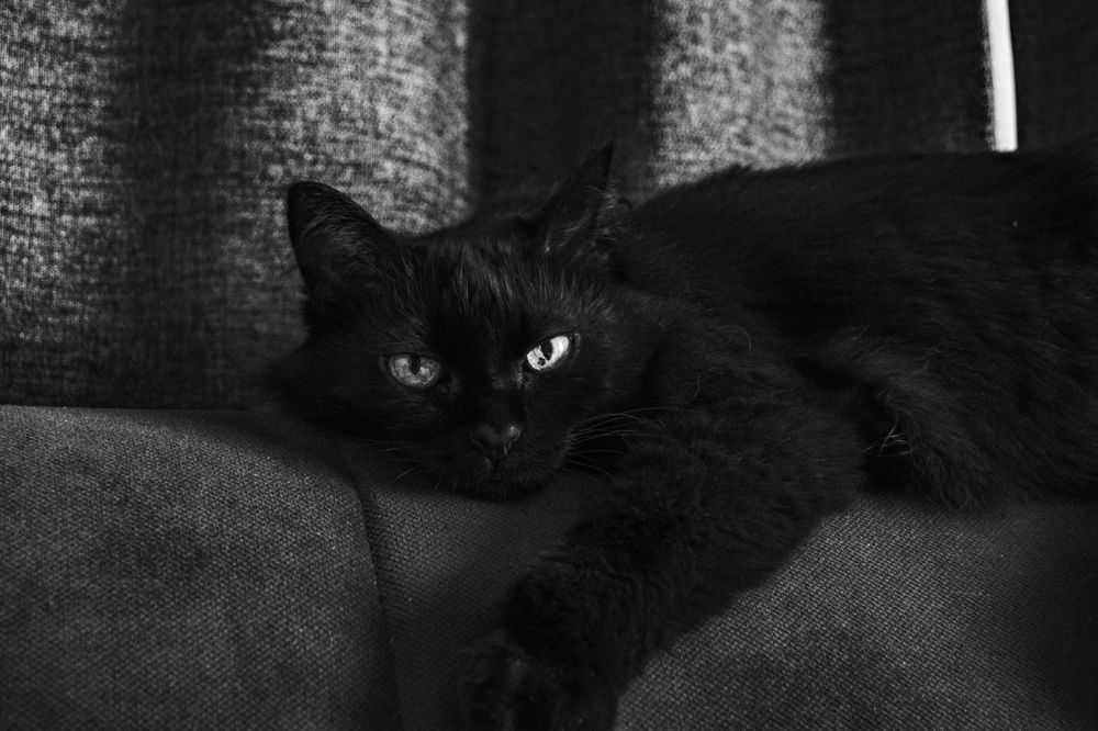 Photograph by Nikita Ostarkov