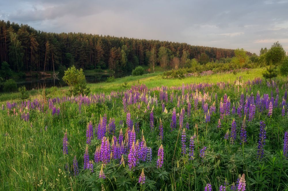 Фотография автора Мартыненко Дмитрий