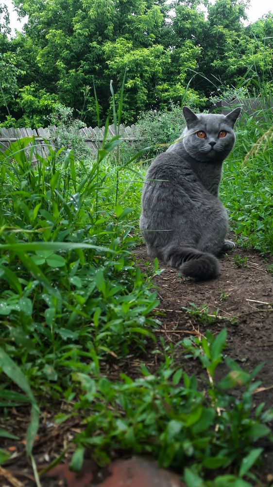 Photograph by Татьяна