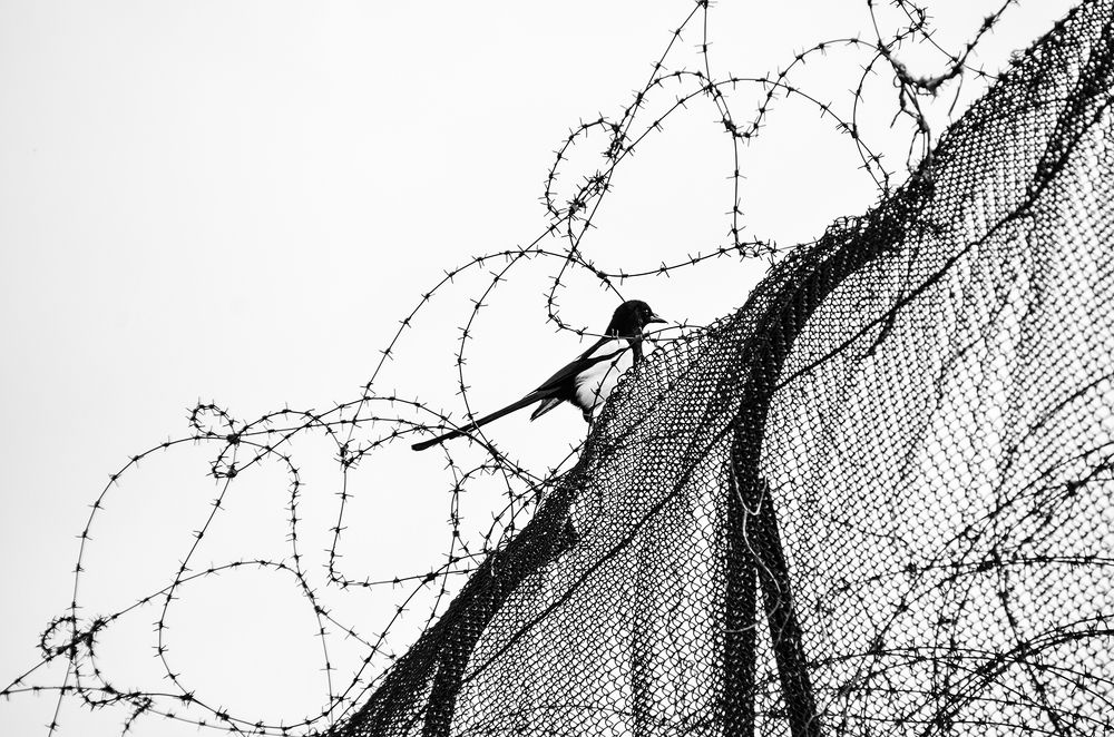 Photograph by Sahar Jafari