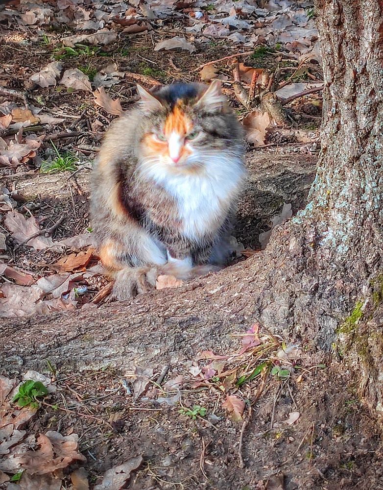 Photograph by Владимир Шаруба