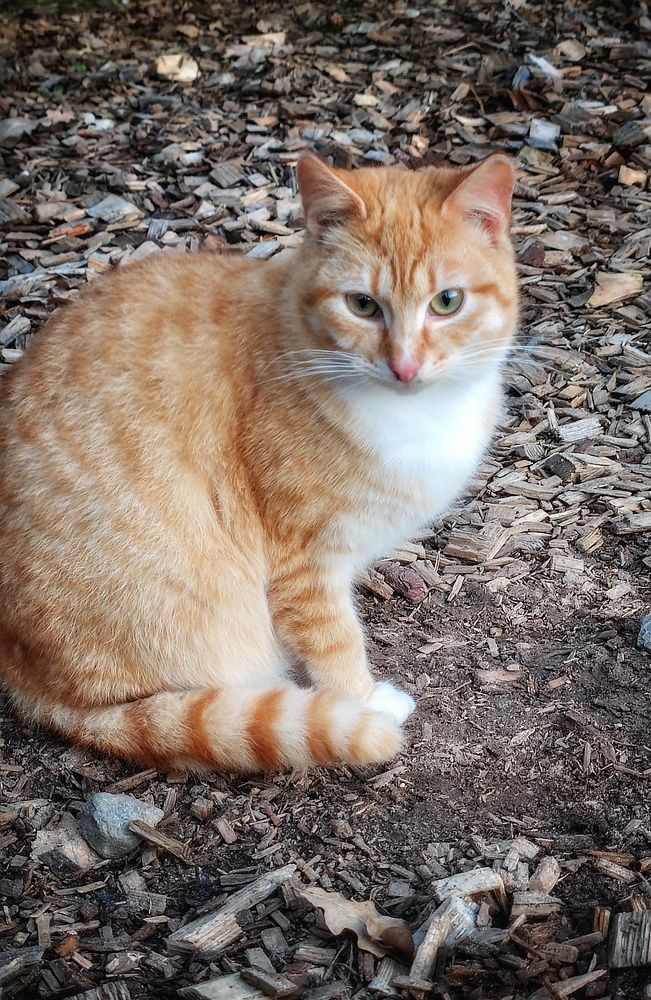 Photograph by Владимир Шаруба