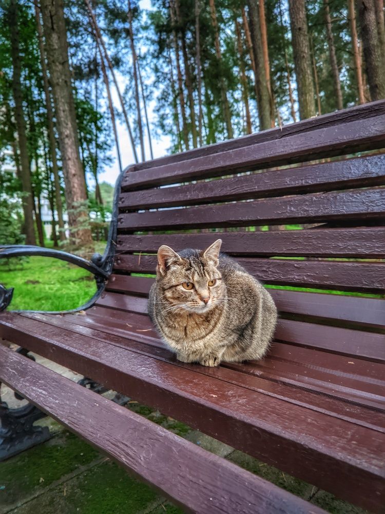 Photograph by Владимир Шаруба