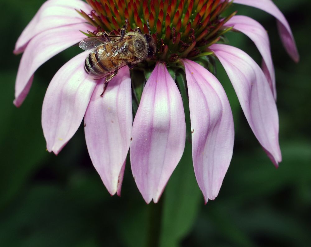 Фотография автора Сергей Гречихин