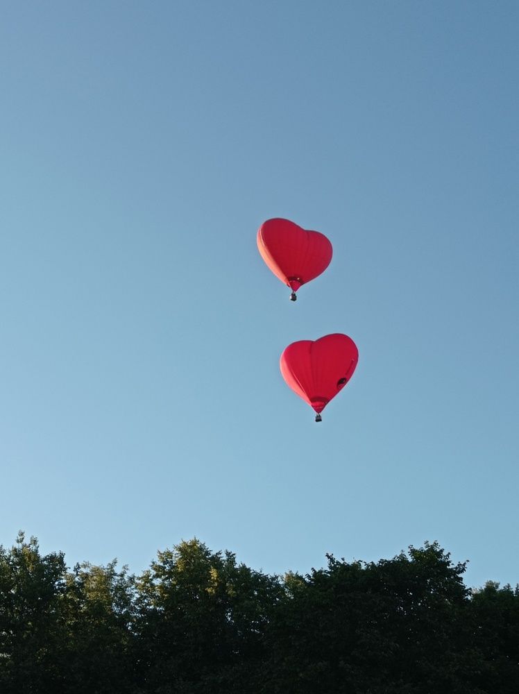 Photograph by Елена Федорова