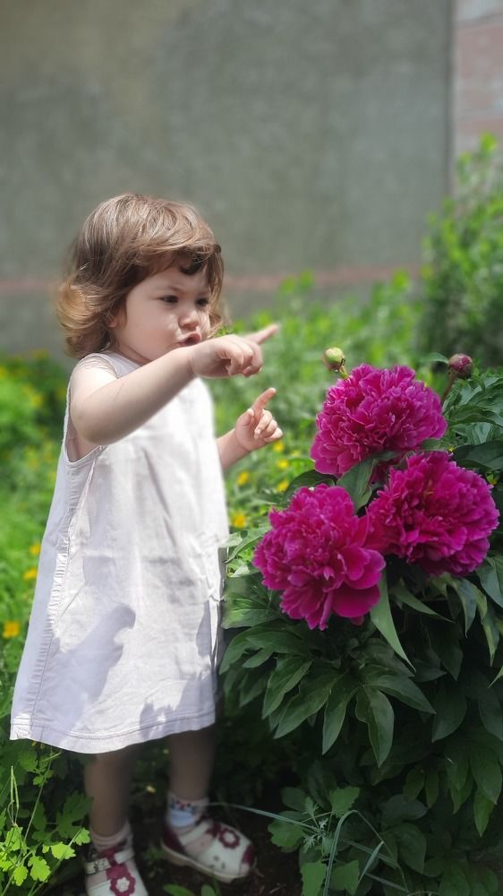 Photograph by Татьяна