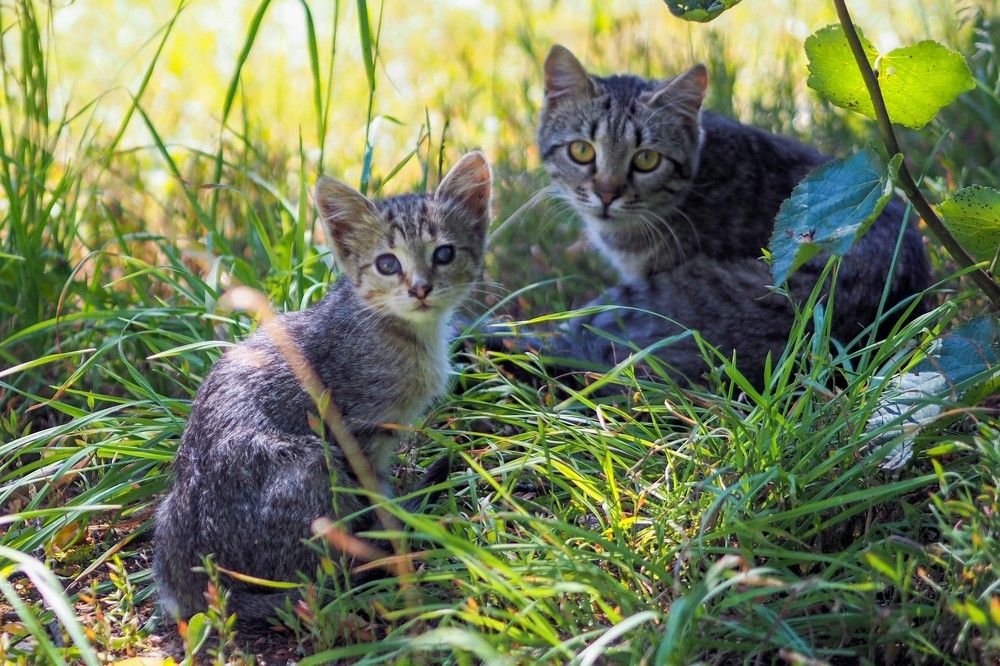 Photograph by Сергей Пушкин