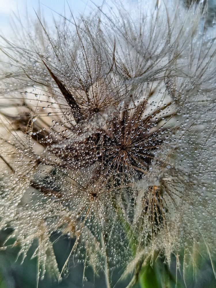 Photograph by Лариса Когтева