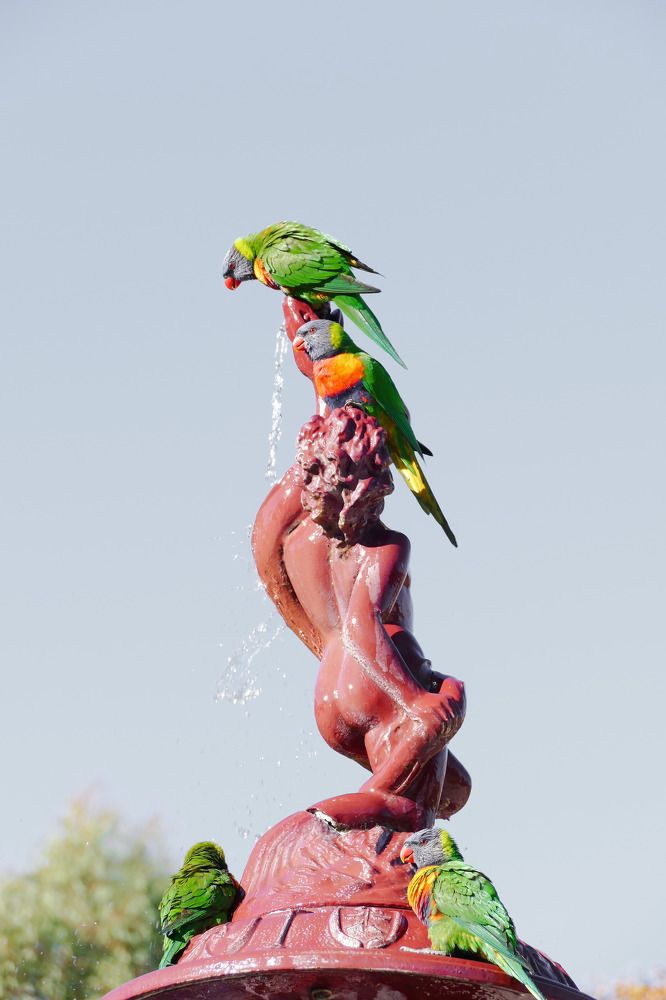 Photograph by Vladislav Kutepov