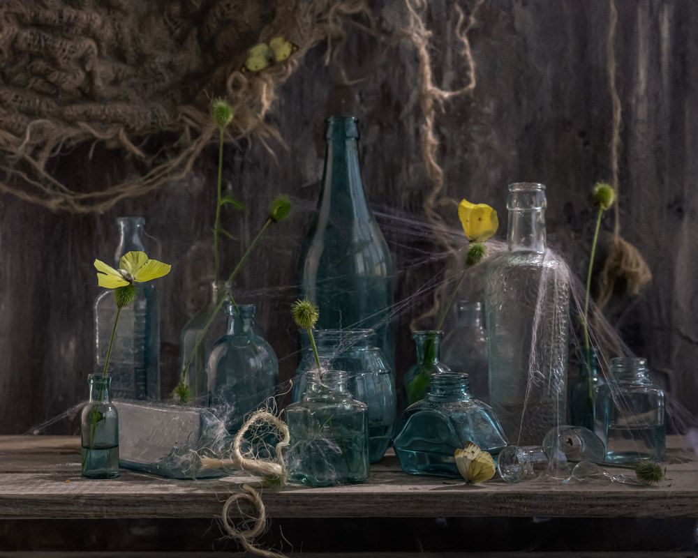 Photograph by Анастасия Тимарг