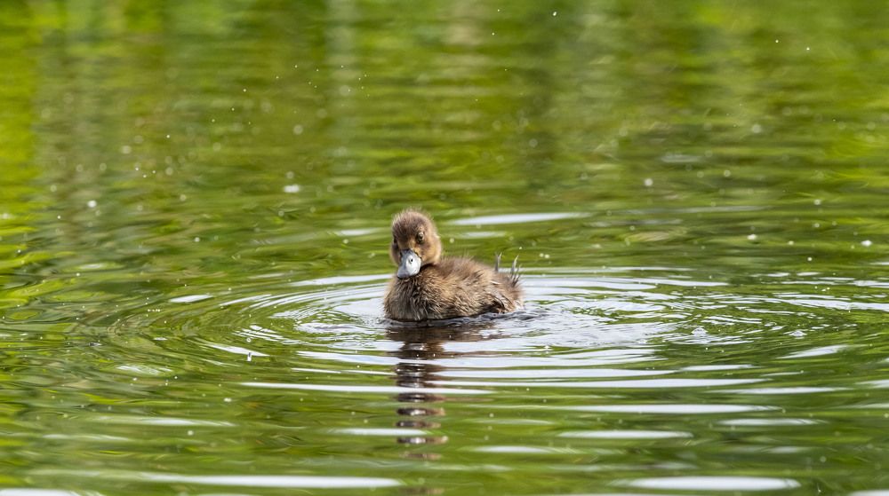 Photograph by Михаил Зубарев