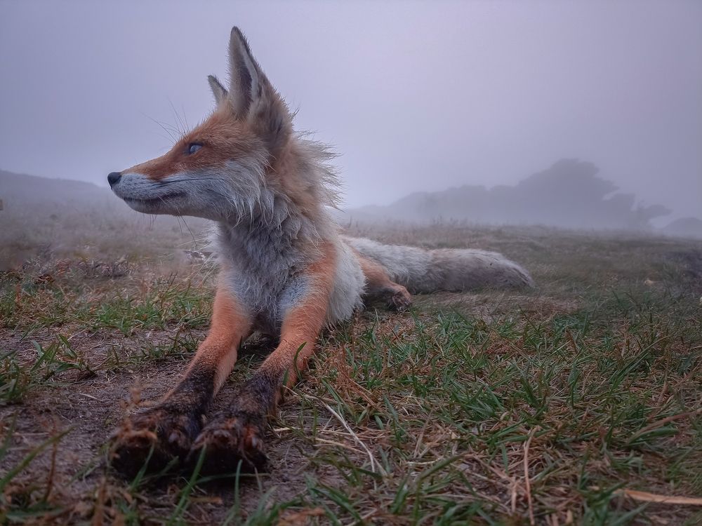 Photograph by Илья Толстоноженко