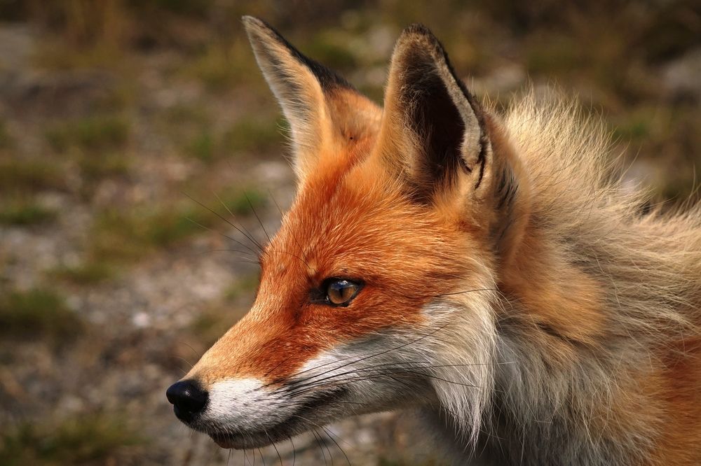 Photograph by Илья Толстоноженко