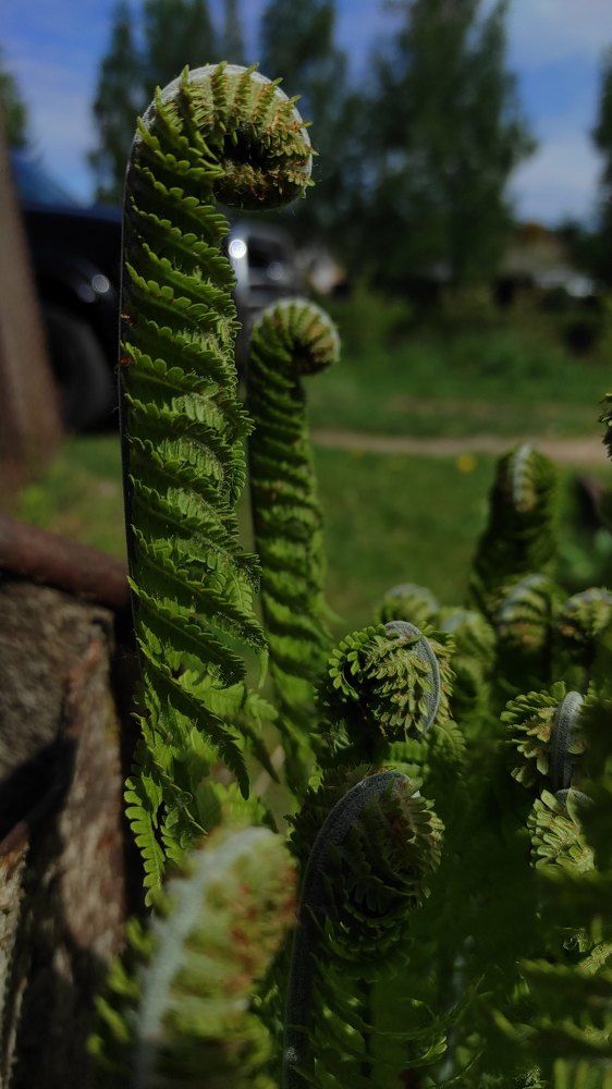 Photograph by Katerina Makhtadui