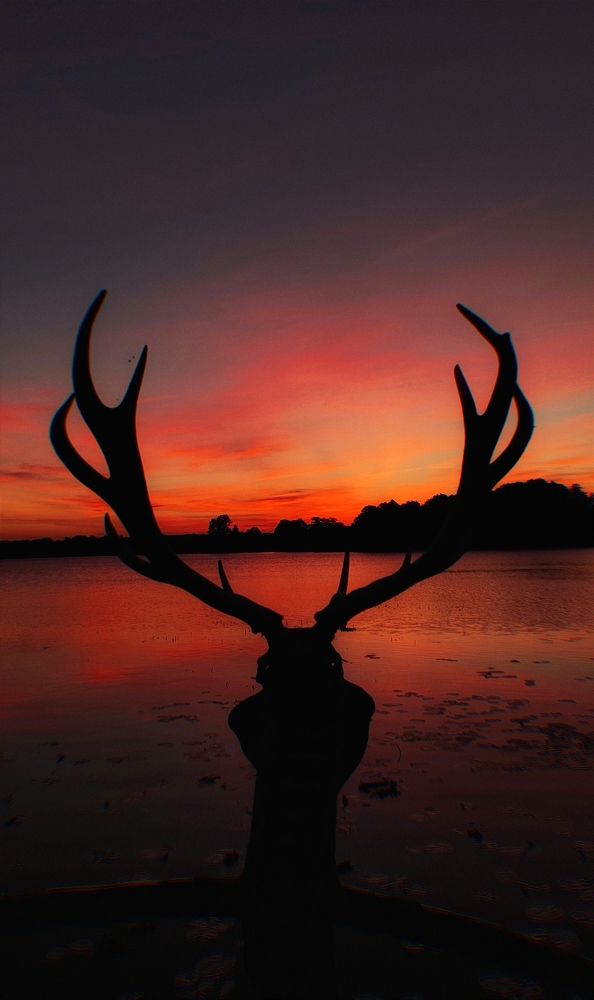 Photograph by Евгений Белов