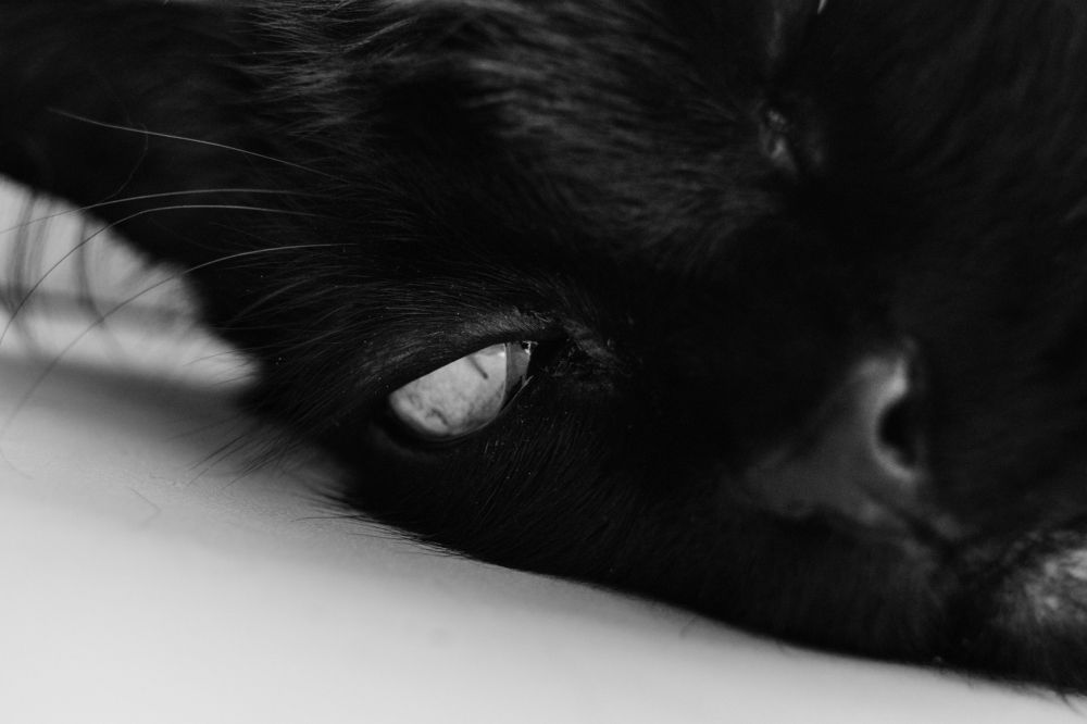 Photograph by Nikita Ostarkov