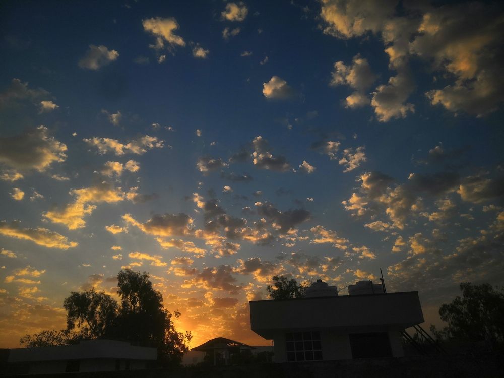 Photo #10802992