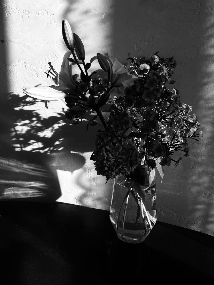 Фотография автора Ирина