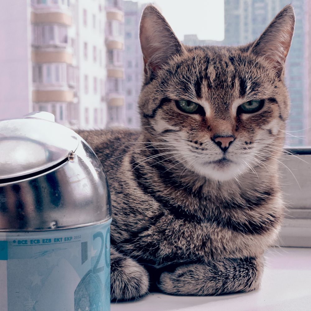 Photograph by Юра Мокрицкий