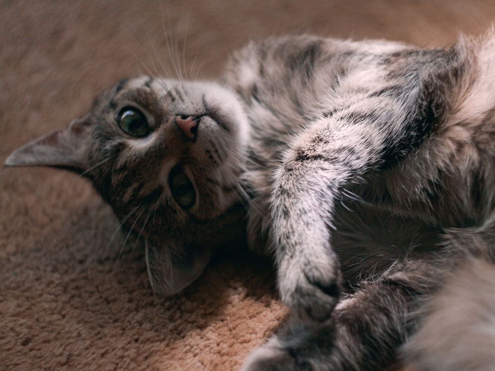 Photograph by Юра Мокрицкий