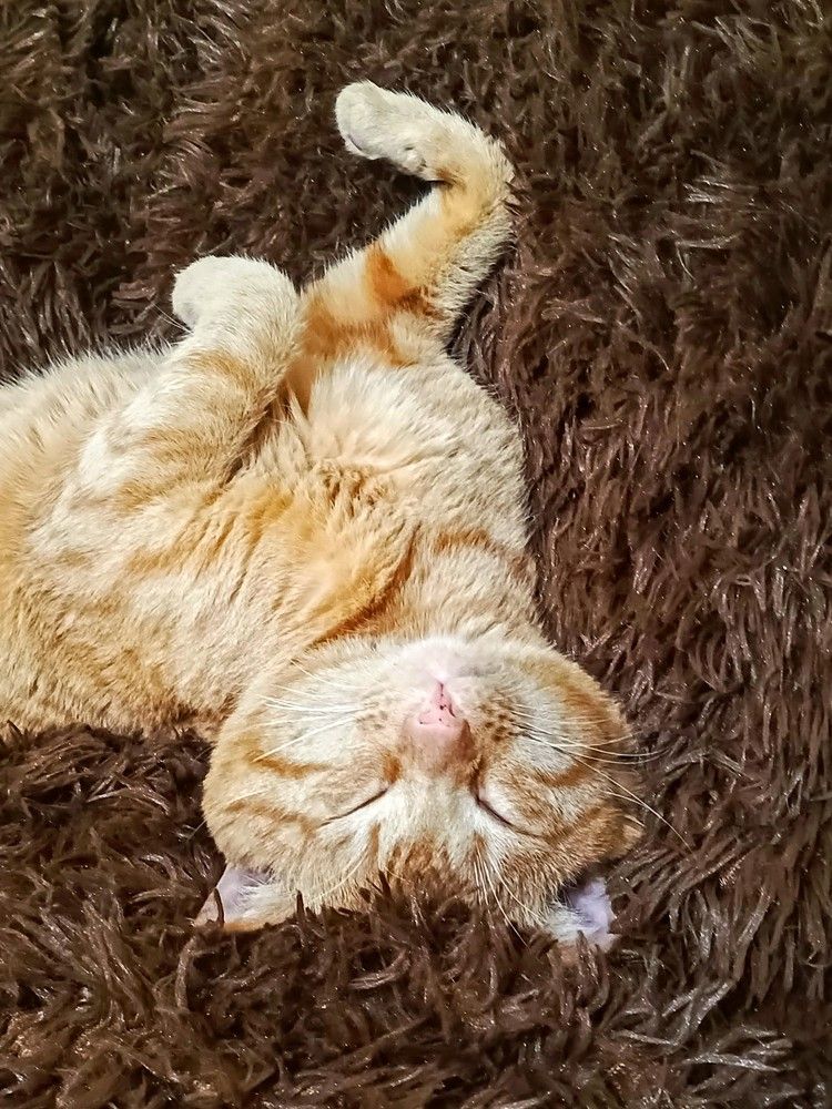 Photograph by Анна