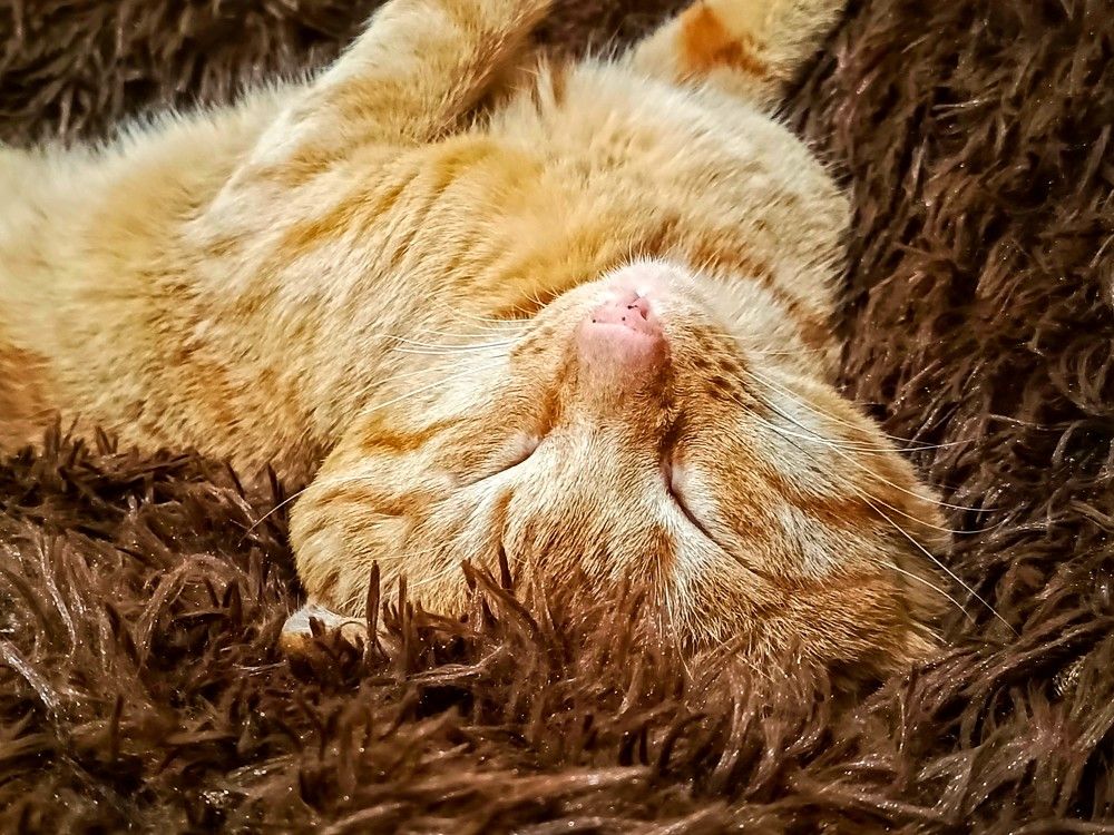 Photograph by Анна