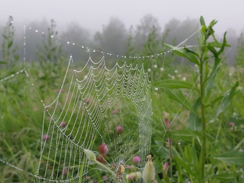 Photograph by Юлия Фирман