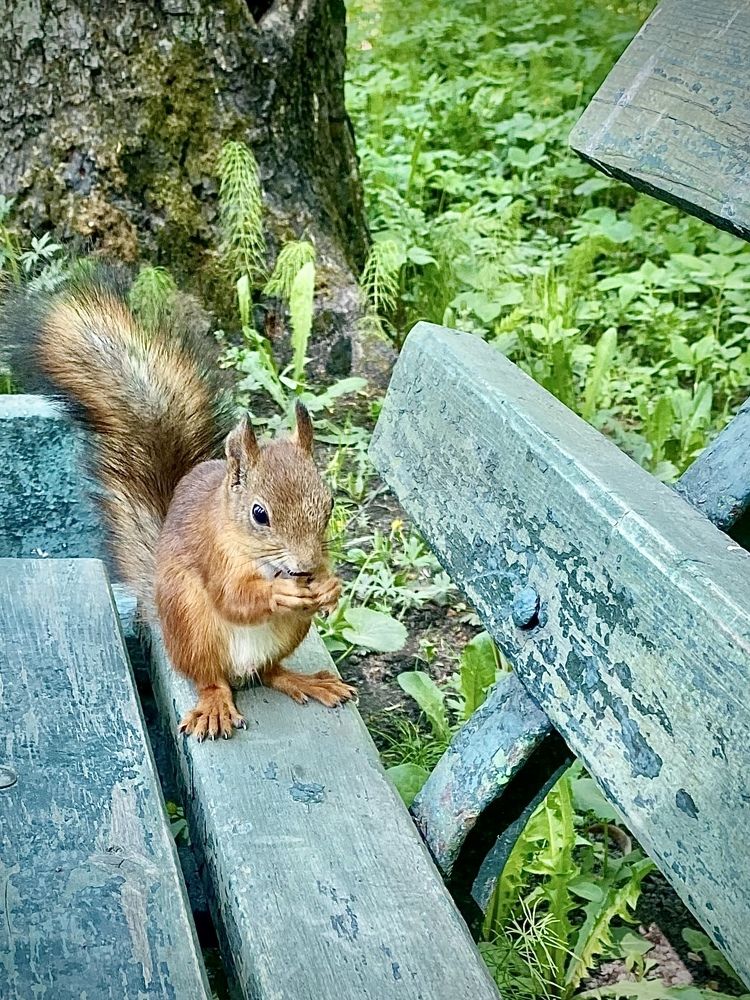 Photograph by Иованна Решетова