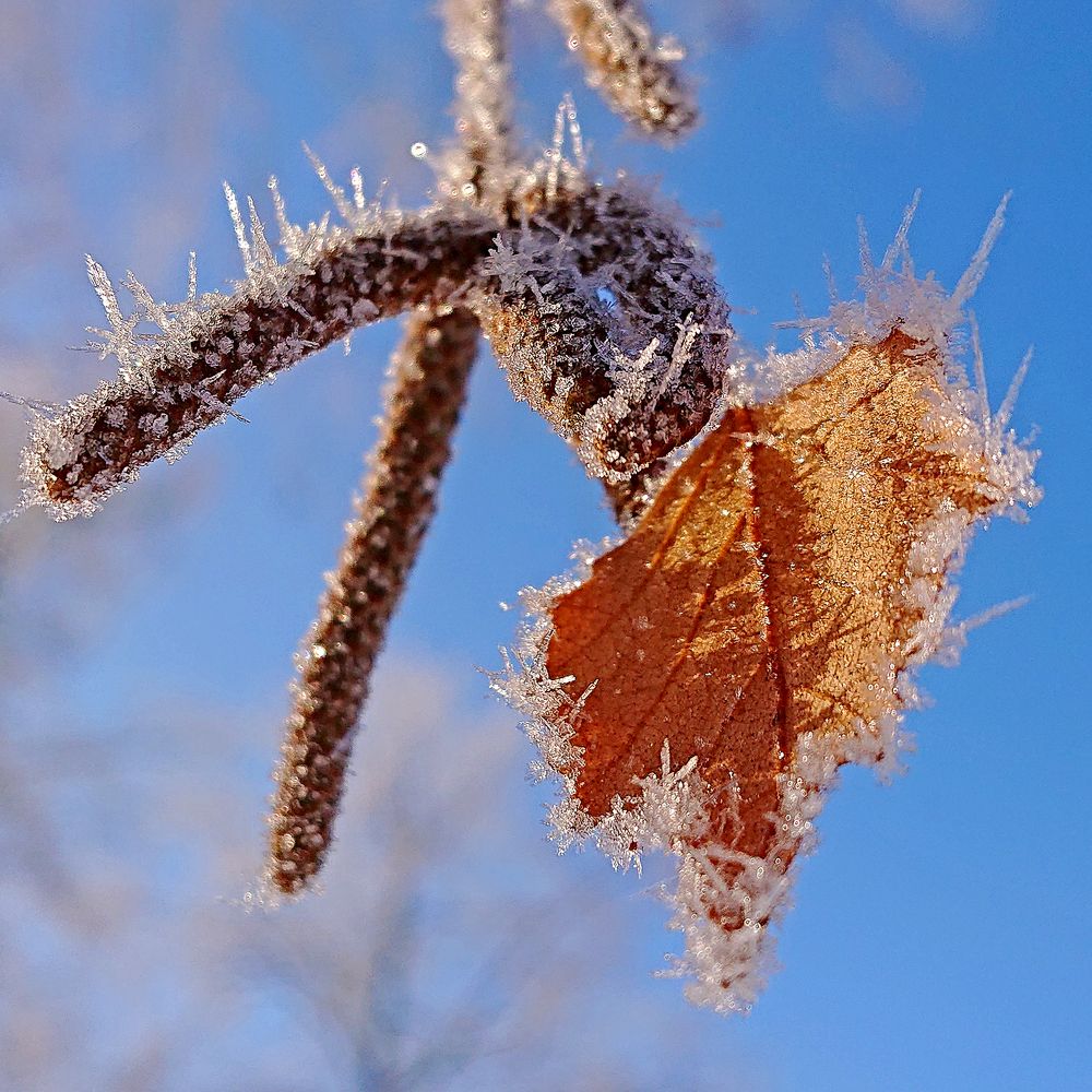Последний лист...