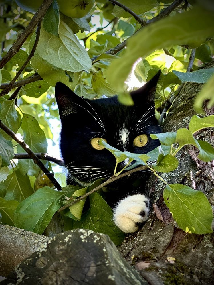 Photograph by Наумова Татьяна