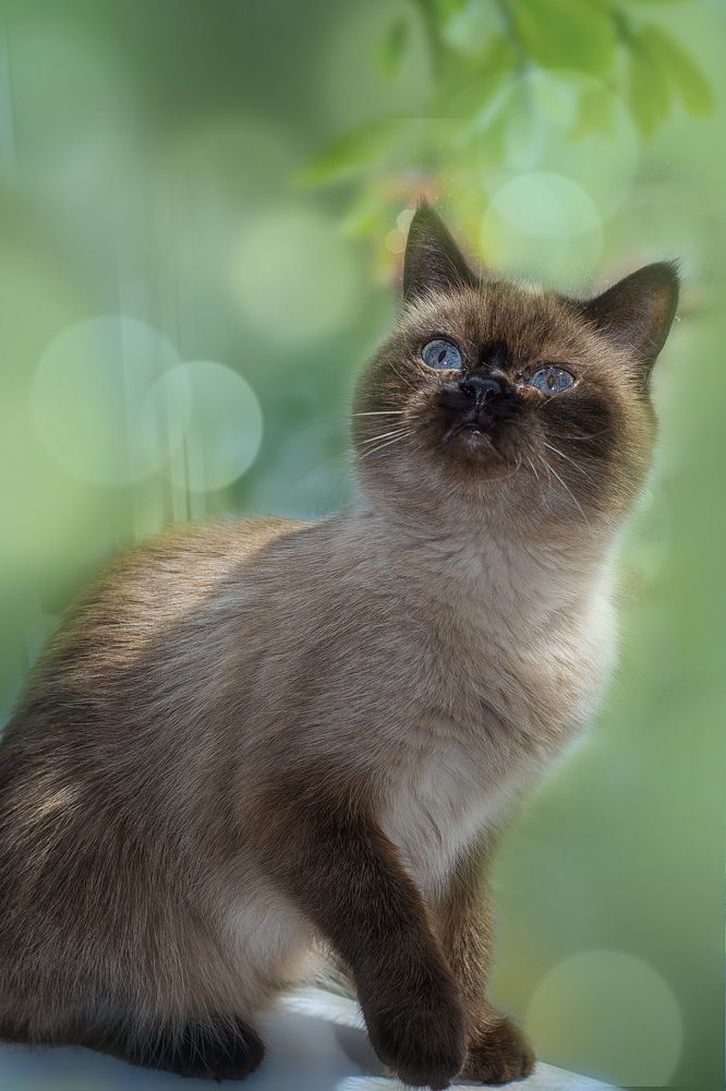 Photograph by Юлия Гетманская