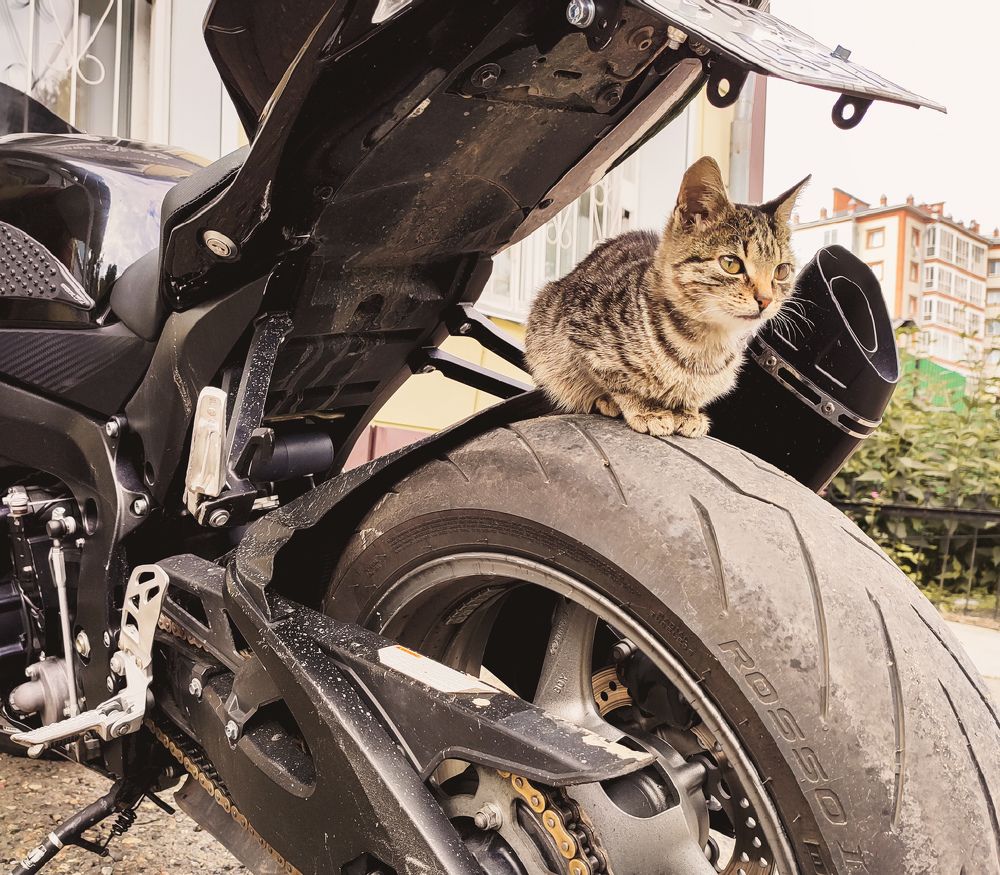 Photograph by Frolova Tatyana