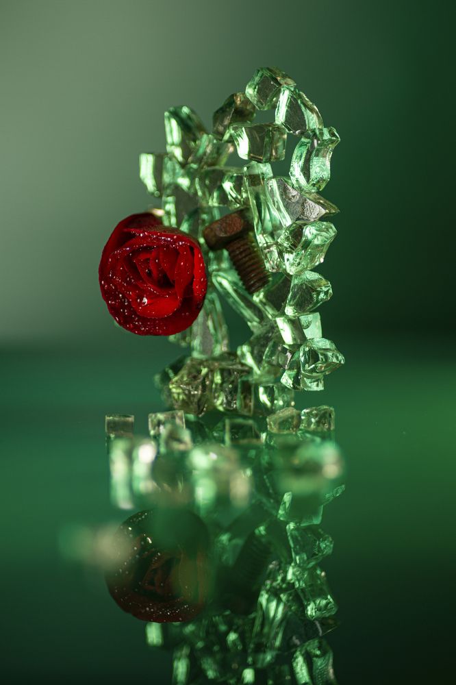 Photograph by Andrey Tarasyuk