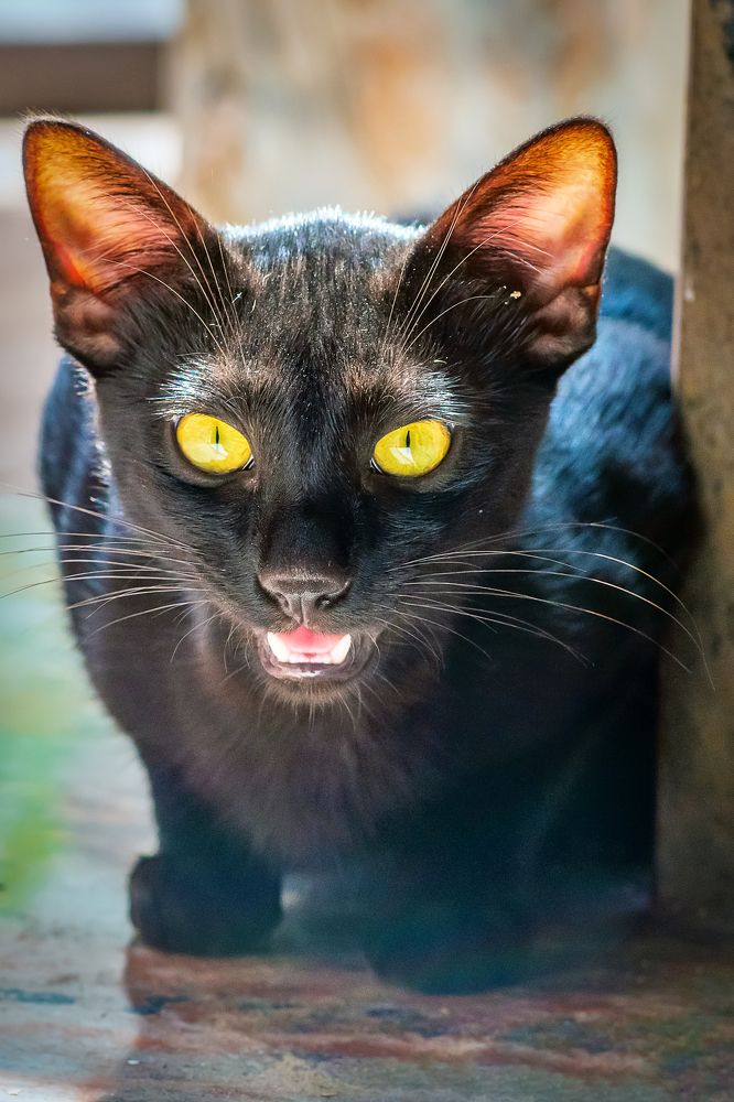 Photograph by Демьян Лопатов