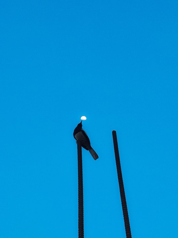 Photograph by MUSAKALIM KHAN