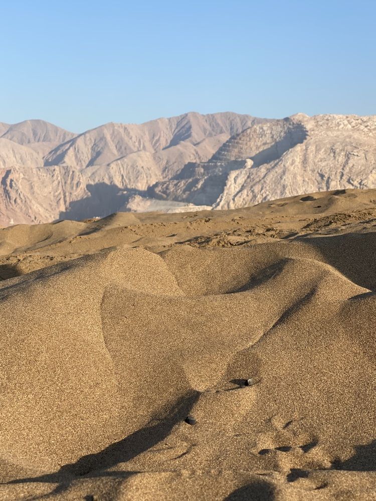 Photograph by Waleed Yousuf Alwahaibi