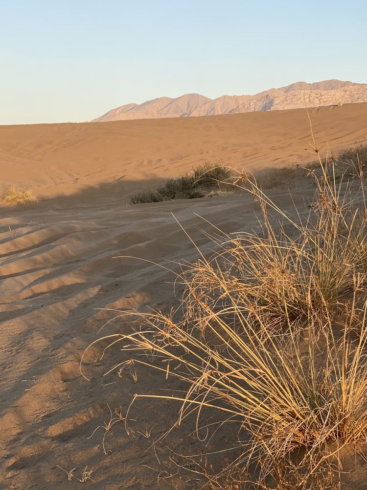 Photograph by Waleed Yousuf Alwahaibi