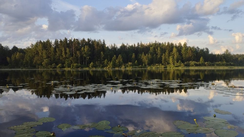 Фотография автора YURY RAMITSAN