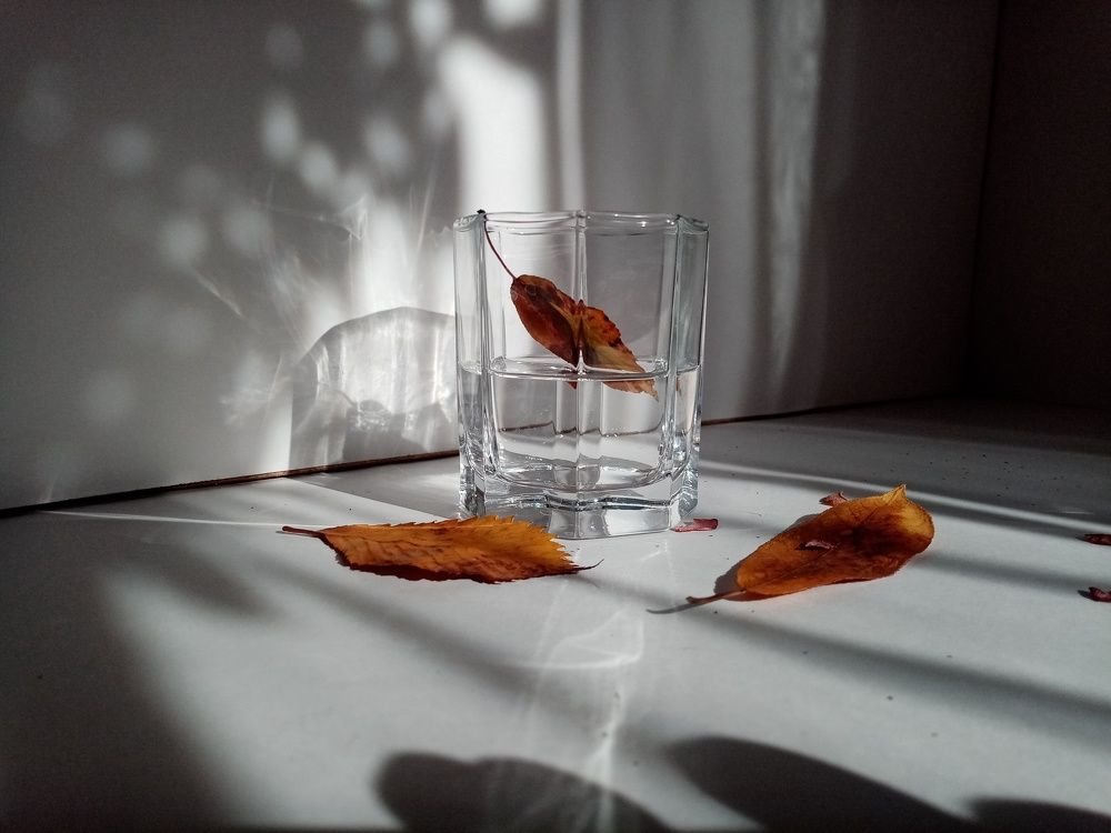 Photo #10803209