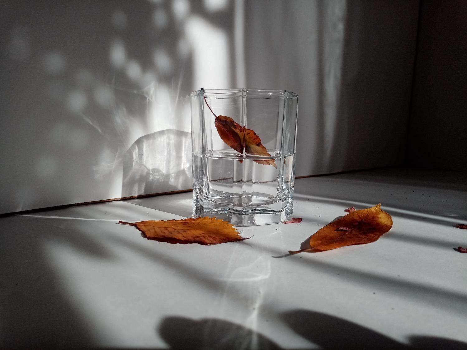 Photo #10803209