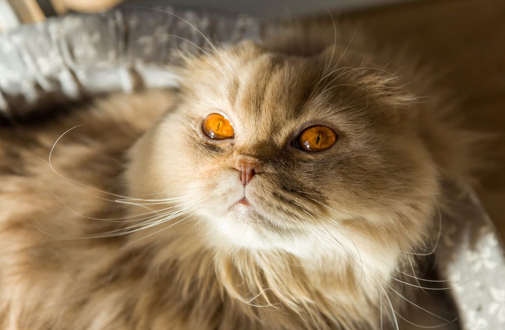 Photograph by Васильев Александр