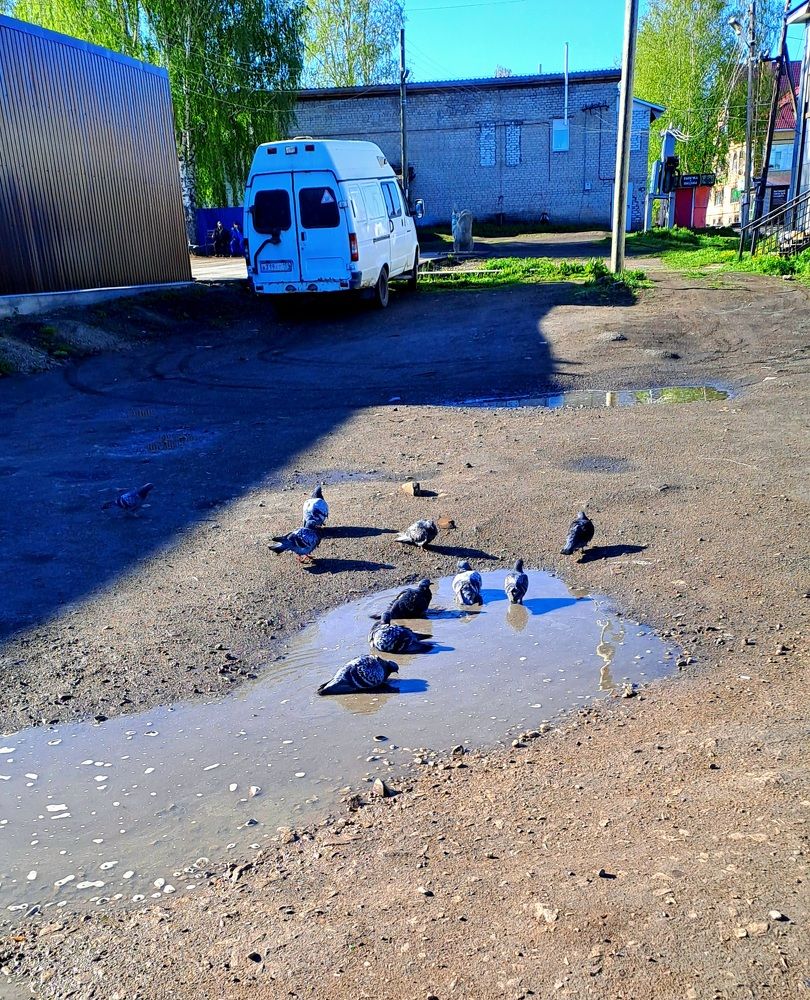 Photograph by Николай Худяков