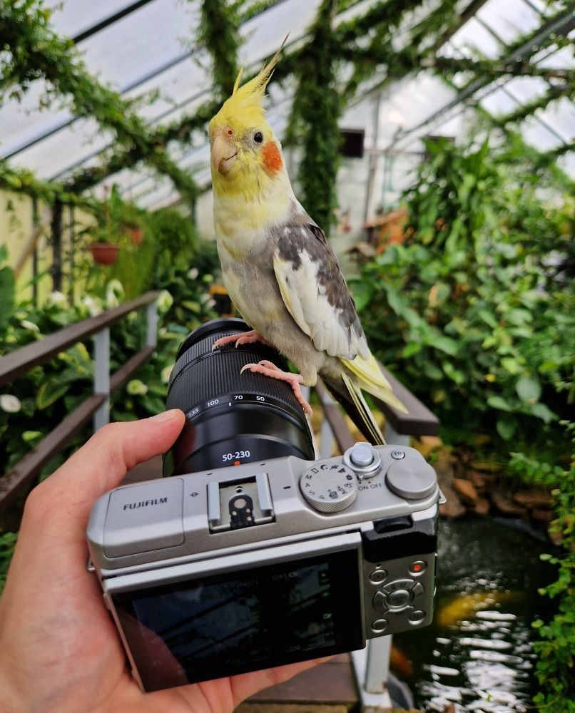 Фотография автора Elvijs Kalnins