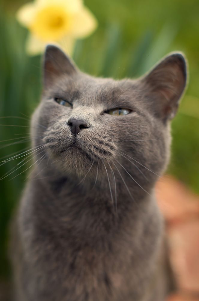 Photograph by Маргарита Гасец